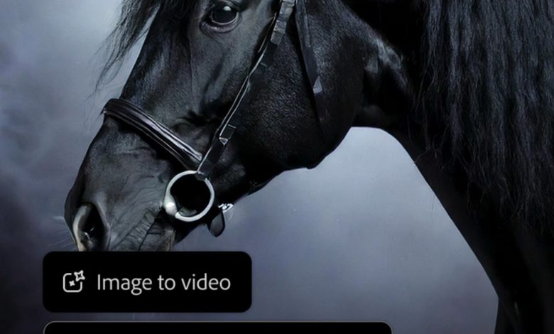 أداة Adobe Firefly Text to-Video AI متوفرة: إليك ما يكلفه