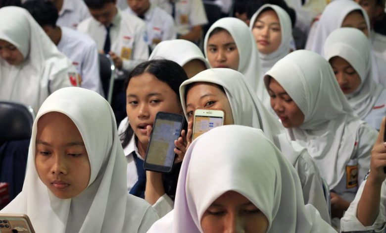 IEEE TryEngineering STEM صندوق أكثر من 50 مشروعًا
